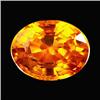 0.5ct Fine Oval Orange Sapphire (GMR-1078)