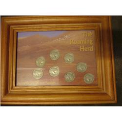 "The Roaming Herd" American West Coin Series of Buffalo Nickels