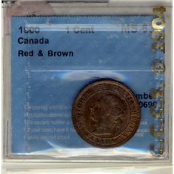 1900 1¢ CCCS MS63 RB