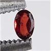Image 1 : .5 C T. RED GARNET - OVAL
