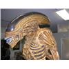 Image 4 : ALIEN:RESURRECTION - Full Size Alien Casting