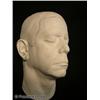 Image 2 : LOU REED- Lifecast