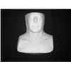 Image 1 : ROGER DALTRY - Lifecast