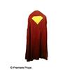 Image 2 : LOIS AND CLARK - Dean Cain Superman Costume