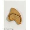 Image 1 : STAR TREK THE MOTION PICTURE - Leonard Nimoy's Spock Ear
