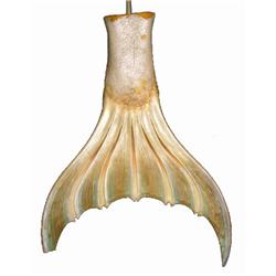 SPLASH - Mermaid Tail