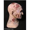 Image 3 : NIGHTMARE ON ELM STREET: THE DREAM CHILD - Freddie Krueger Prototype head