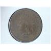 Image 1 : 1876 INDIAN HEAD CENT
