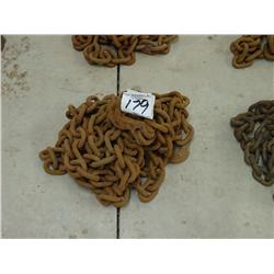 CHAIN 20’
