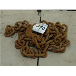 CHAIN 20’