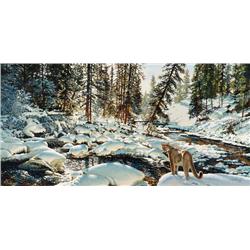 Coheleach, Guy - Yellowstone Puma (b. 1933)