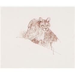 Kuhn, Bob - Mountain Lion (1920-2007)