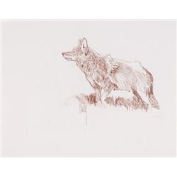 Kuhn, Bob - Coyote (1920-2007)