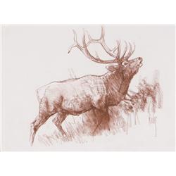 Kuhn, Bob - Elk (1920-2007)
