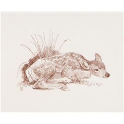 Kuhn, Bob - Deer Fawn (1920-2007)