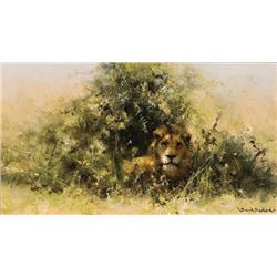 Shepherd, David - Lion (b. 1931)