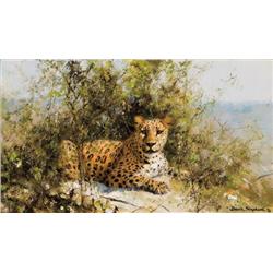 Shepherd, David - Leopard (b. 1931)