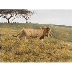 Bateman, Robert - Lion & Wildebeest (b. 1930)