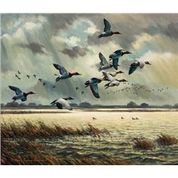 Adamson, Harry - Canvasbacks (b. 1916)