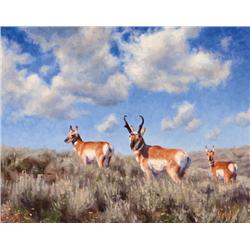 Sims, Kyle - Wyoming Brilliance (b. 1980)