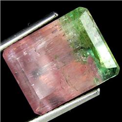 8.18ct Pink&Green Watermelon Tourmaline (GEM-21447)
