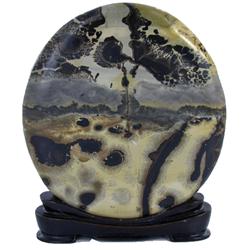 3000ct Picture Agate Polished Display Piece (GEM-23057)