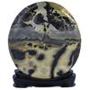 Image 1 : 3000ct Picture Agate Polished Display Piece (GEM-23057)