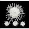 Image 1 : Handcrafted Glass Sea Urchin Mom & Kids (DEC-374)
