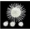 Image 2 : Handcrafted Glass Sea Urchin Mom & Kids (DEC-374)