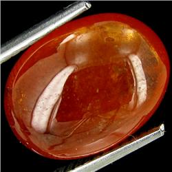 8.89ct Oval Cabochon Orange Garnet Natural  (GEM-23254)