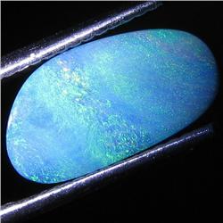 2.73ct Australian Black Opal Doublet Full Fire (GEM-31515)