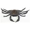 Image 4 : Patinated Bronze Crab