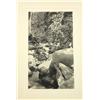 Image 2 : Photographs, Early 20th c., Californian