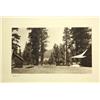 Image 8 : Photographs, Early 20th c., Californian