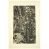 Image 10 : Photographs, early 20th c. Californian
