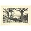 Image 9 : Photographs, early 20th c. Californian