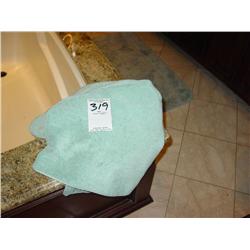 RUGS & TOWEL (3X)