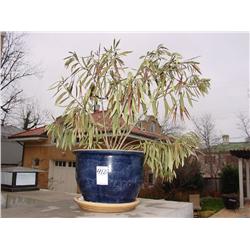 BLUE CERAMIC PLANTERS (2X)