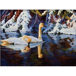 DuRose, Ed:  Evening Trumpeter Swans