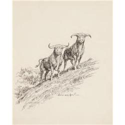 James, Will:  Two Bulls