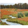 Image 1 : Dernovich, Donald:  A River Runs Through It