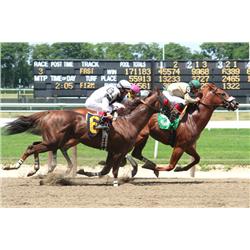 Mickey Frome, Passing the Tote Board, Color Photograph