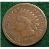 Image 1 : 1880 Indian Head Cent
