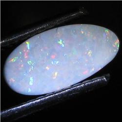 0.66ct Australian Black Opal Doublet Full Fire (GEM-31461)