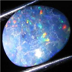 2.74ct Australian Black Opal Doublet Full Fire (GEM-31393)