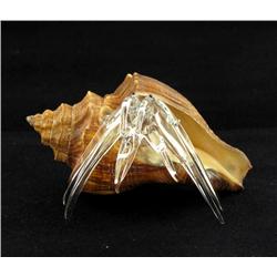 Hand Formed Glass Hermit Crab (DEC-389)