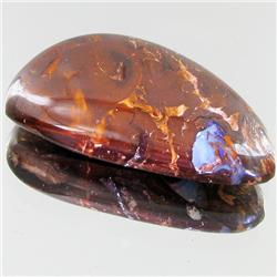 52.85ct Australian Bounder Opal  (GEM-31272)