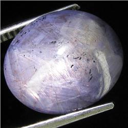 12.85ct Natural Star Ruby Well Patterned  (GEM-32135)