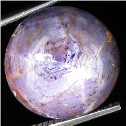 13.60ct Natural Star Ruby Well Patterned  (GEM-32081)