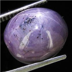 14.40ct Natural Star Ruby Well Patterned  (GEM-32120)